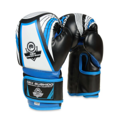 Boxerské rukavice DBX BUSHIDO ARB407v1 6 oz.