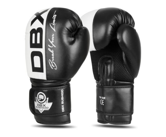 Boxerské rukavice DBX BUSHIDO B-2v20